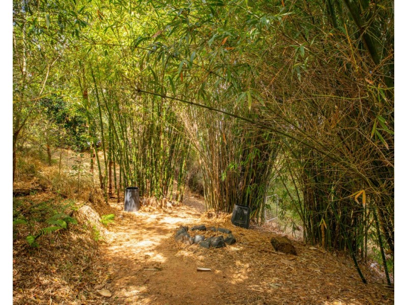 10 Brush Box La, Federal QLD 4568