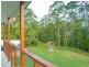 11 Friarbird Place, Pomona QLD 4568