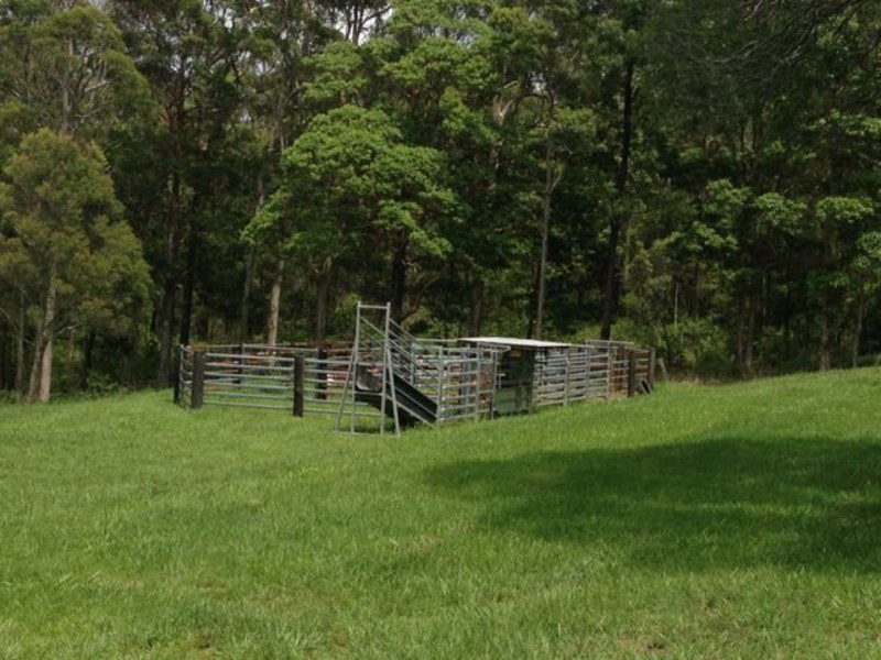 303 Tablelands Road, Cooran QLD 4569