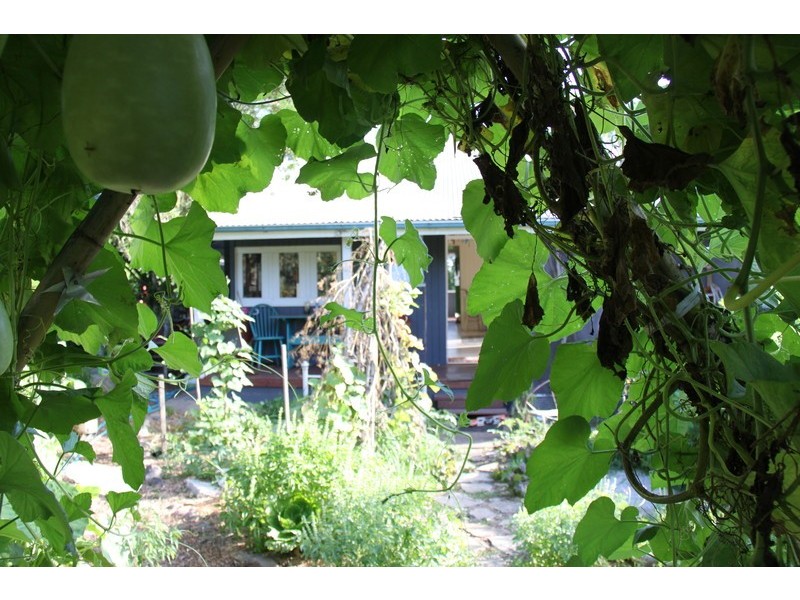 24 Queen St, Cooran QLD 4569