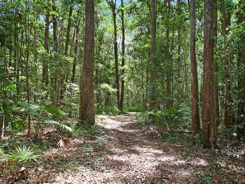 91 Kildeys Road, Cootharaba QLD 4565