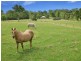 32 Crosiers Road, Pinbarren QLD 4568