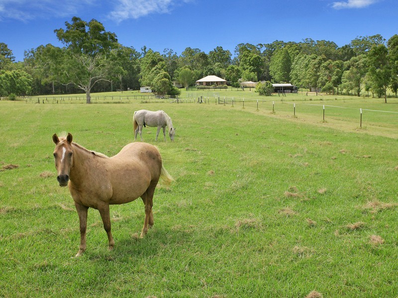 32 Crosiers Road, Pinbarren QLD 4568