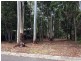8 Rainforest Court, Boreen Point QLD 4565