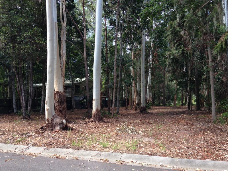 8 Rainforest Court, Boreen Point QLD 4565
