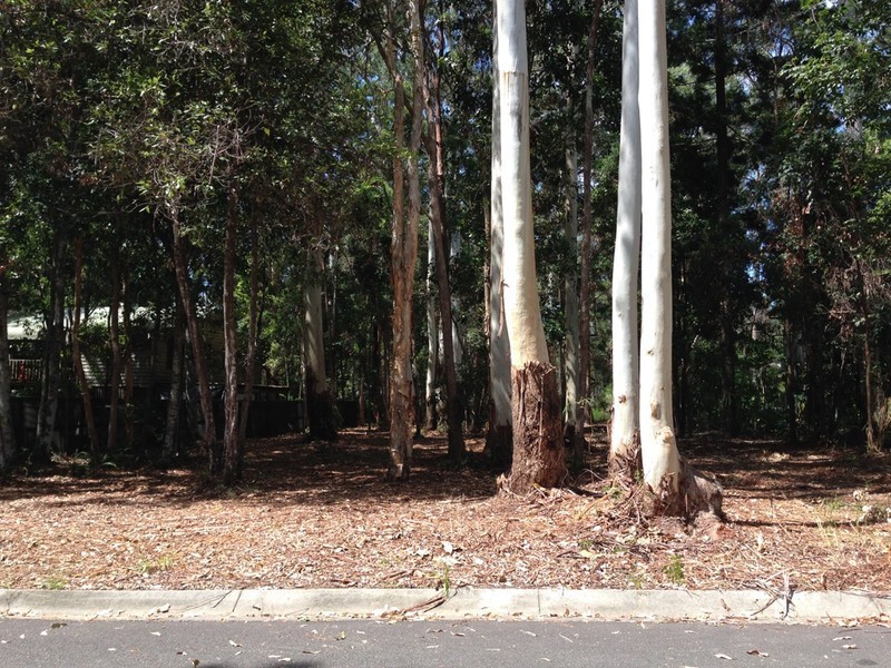 8 Rainforest Court, Boreen Point QLD 4565
