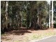 8 Rainforest Court, Boreen Point QLD 4565