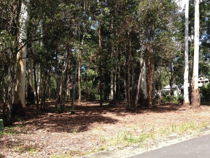 8 Rainforest Court, Boreen Point QLD 4565