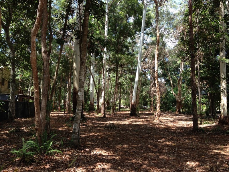 8 Rainforest Court, Boreen Point QLD 4565