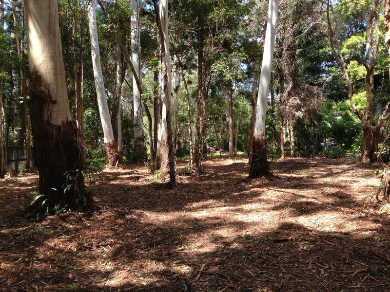 8 Rainforest Court, Boreen Point QLD 4565