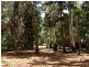 8 Rainforest Court, Boreen Point QLD 4565