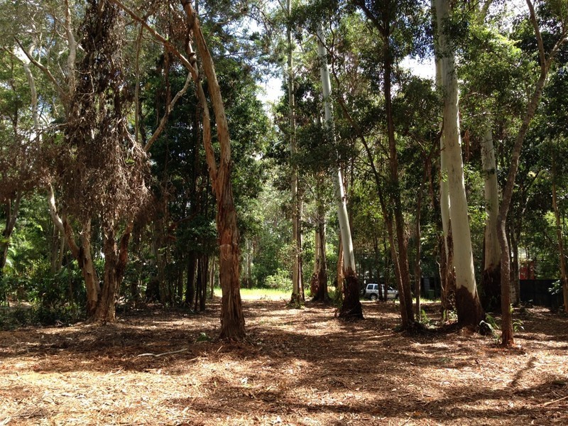 8 Rainforest Court, Boreen Point QLD 4565