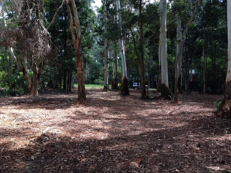 8 Rainforest Court, Boreen Point QLD 4565