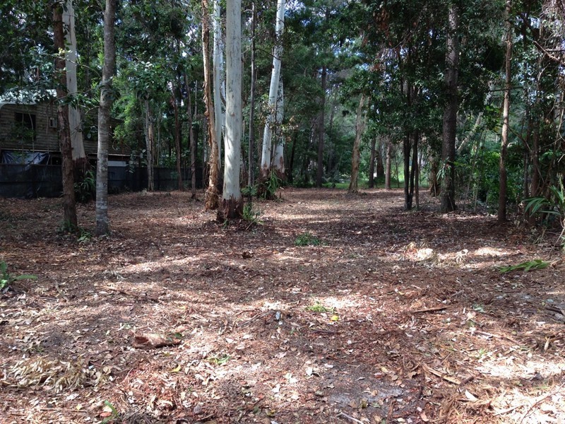 8 Rainforest Court, Boreen Point QLD 4565