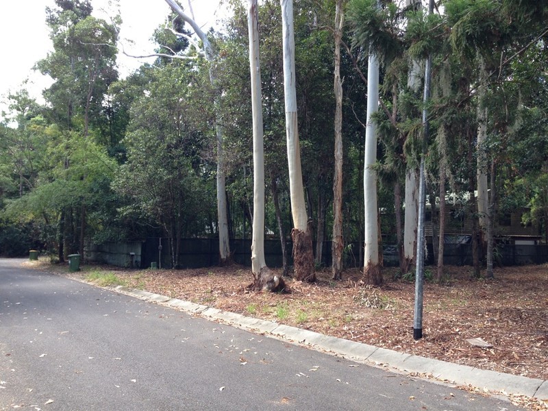 8 Rainforest Court, Boreen Point QLD 4565