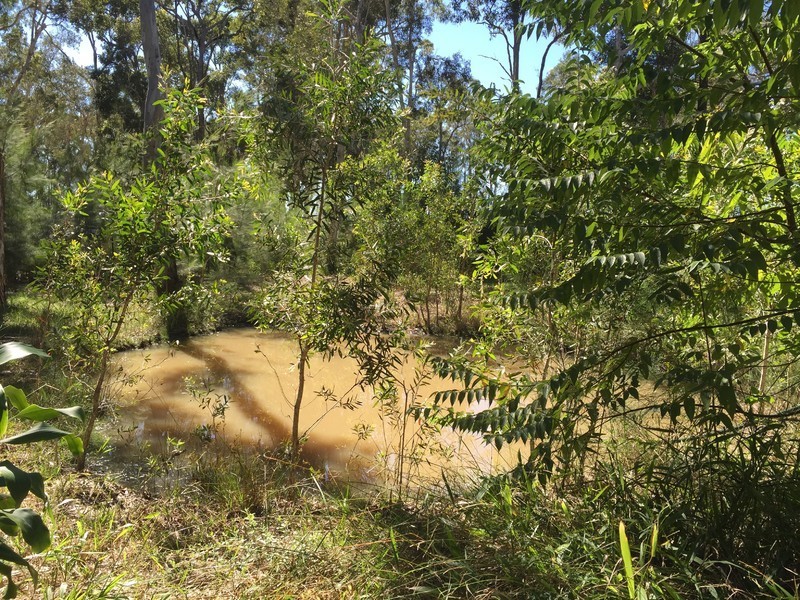 25 Lister La, Cootharaba QLD 4565