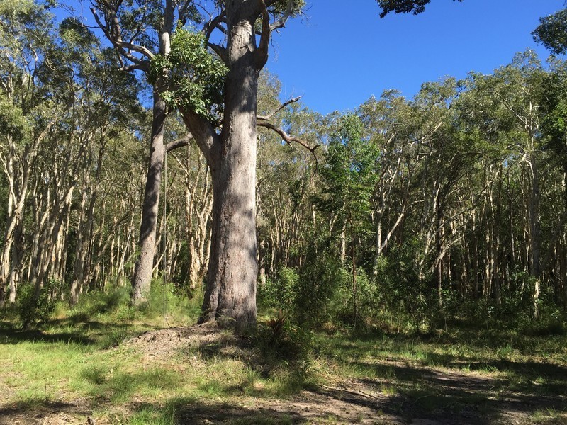 25 Lister La, Cootharaba QLD 4565