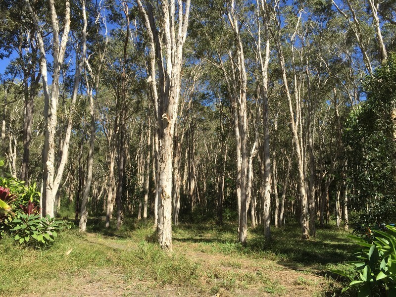 25 Lister La, Cootharaba QLD 4565