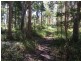 25 Lister La, Cootharaba QLD 4565