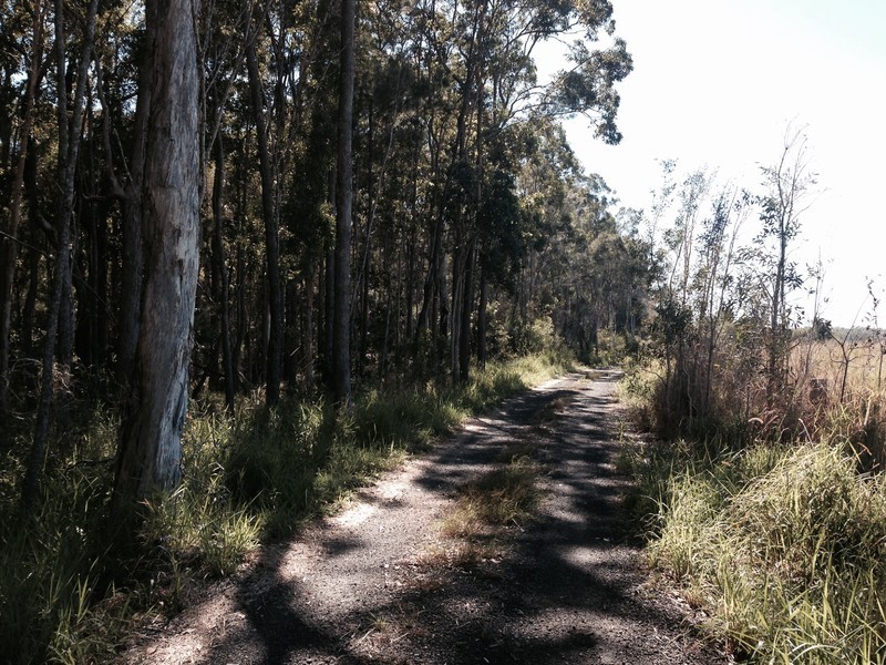 25 Lister La, Cootharaba QLD 4565