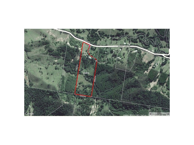 Federal QLD 4568 Floorplan