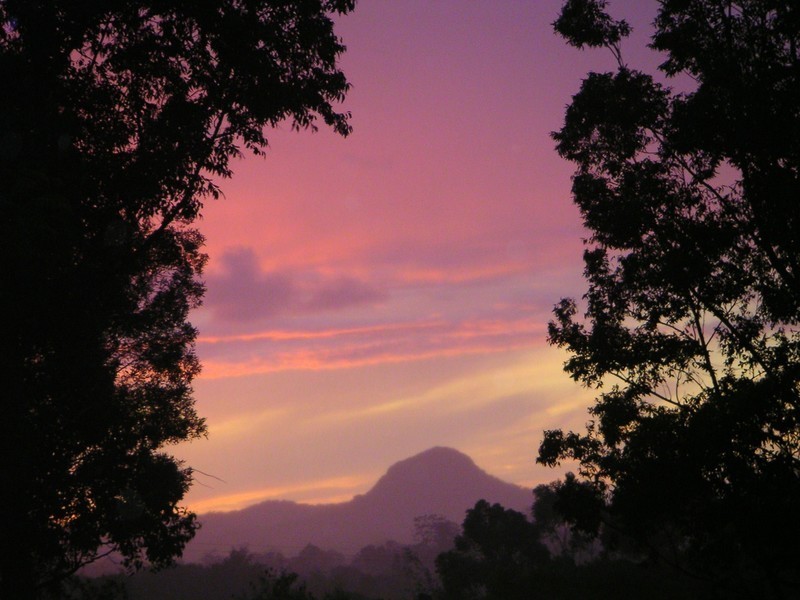 292 Pomona Kin Kin Road, Pinbarren QLD 4568