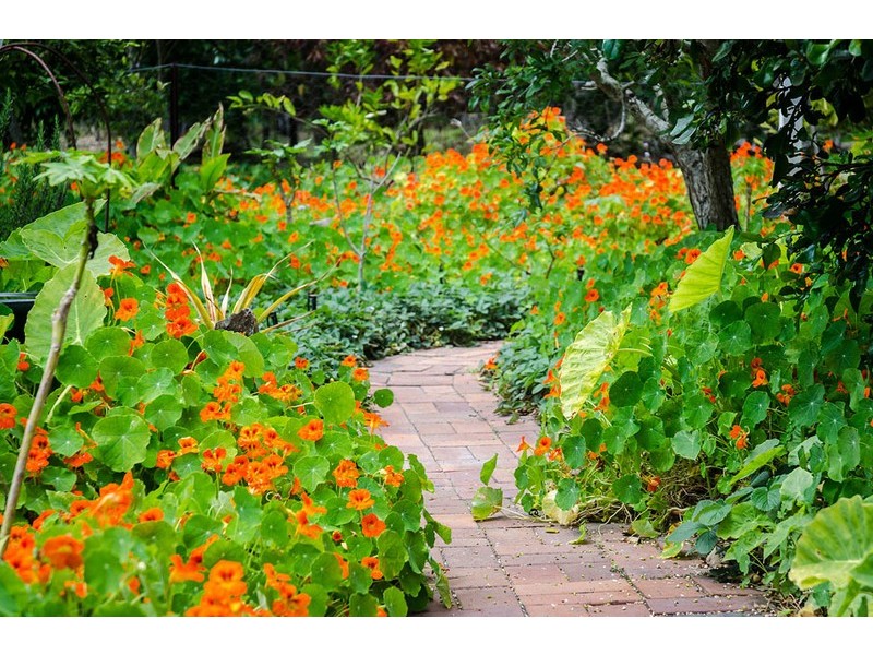 59 Killawarra Road, Lake Macdonald QLD 4563