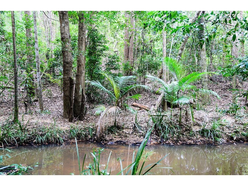 59 Killawarra Road, Lake Macdonald QLD 4563