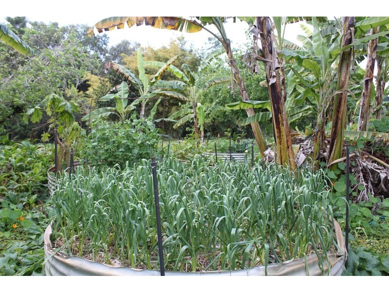 59 Killawarra Road, Lake Macdonald QLD 4563