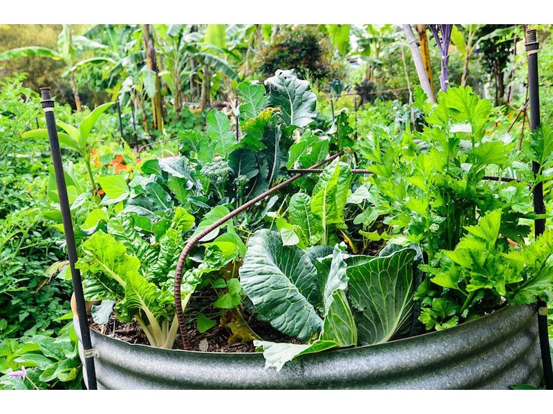 59 Killawarra Road, Lake Macdonald QLD 4563