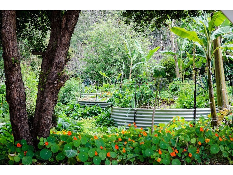 59 Killawarra Road, Lake Macdonald QLD 4563