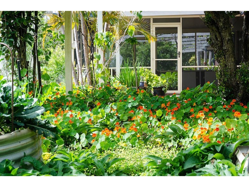 59 Killawarra Road, Lake Macdonald QLD 4563