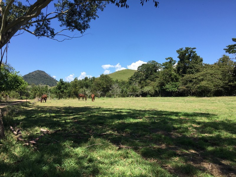 328 Upper Pinbarren Creek Road, Pinbarren QLD 4568