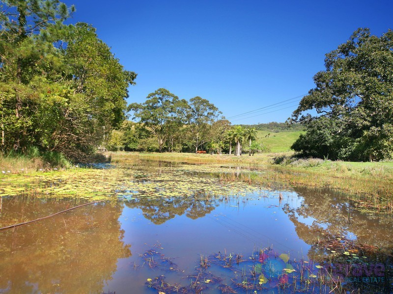 328 Upper Pinbarren Creek Road, Pinbarren QLD 4568