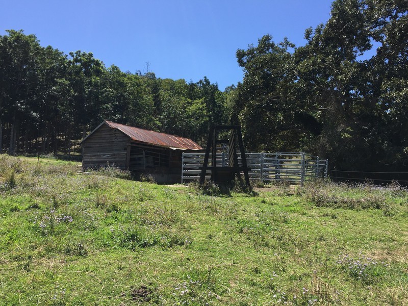 328 Upper Pinbarren Creek Road, Pinbarren QLD 4568