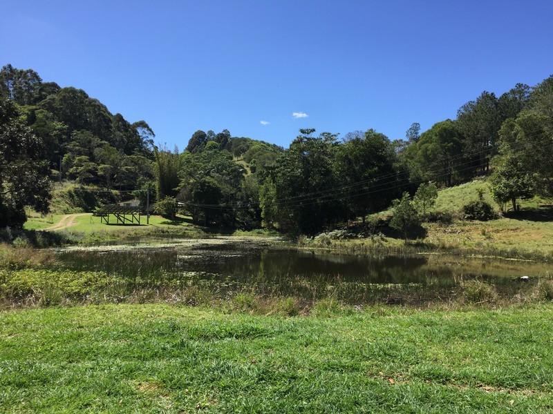 328 Upper Pinbarren Creek Road, Pinbarren QLD 4568