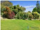 49 Lake Ridge Court, Lake Macdonald QLD 4563