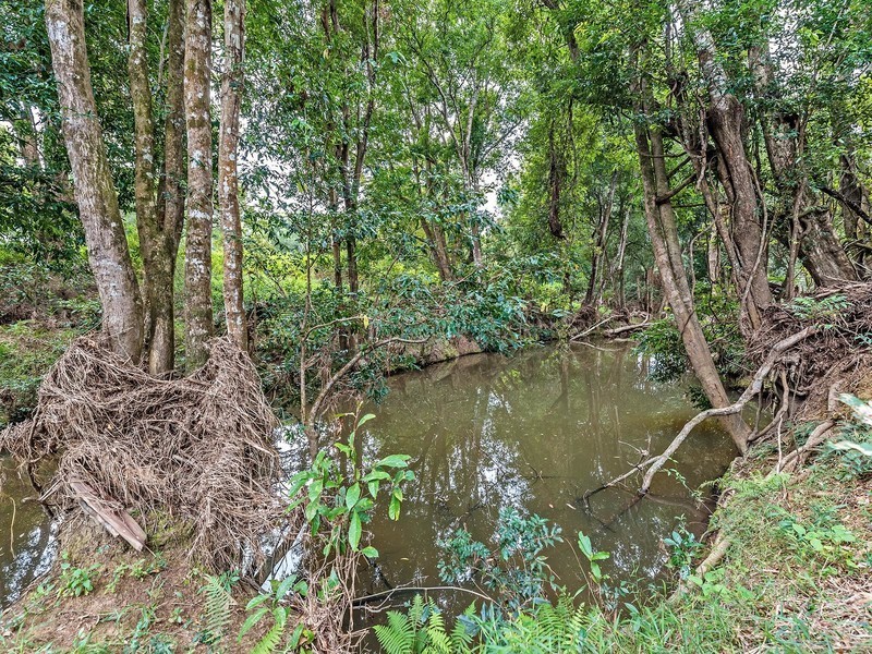 90 Upper Pinbarren Creek Road, Pinbarren QLD 4568