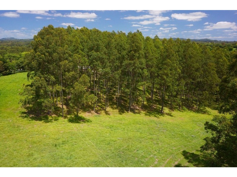 164 Arthys Road, Cooran QLD 4569