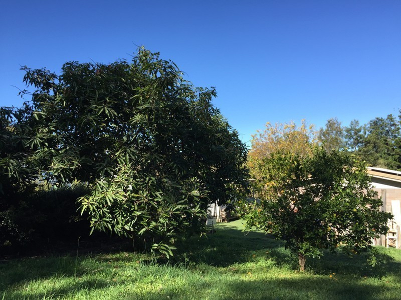 2 Victoria Street, Cooran QLD 4569