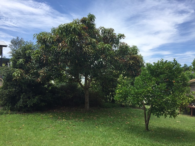 2 Victoria Street, Cooran QLD 4569