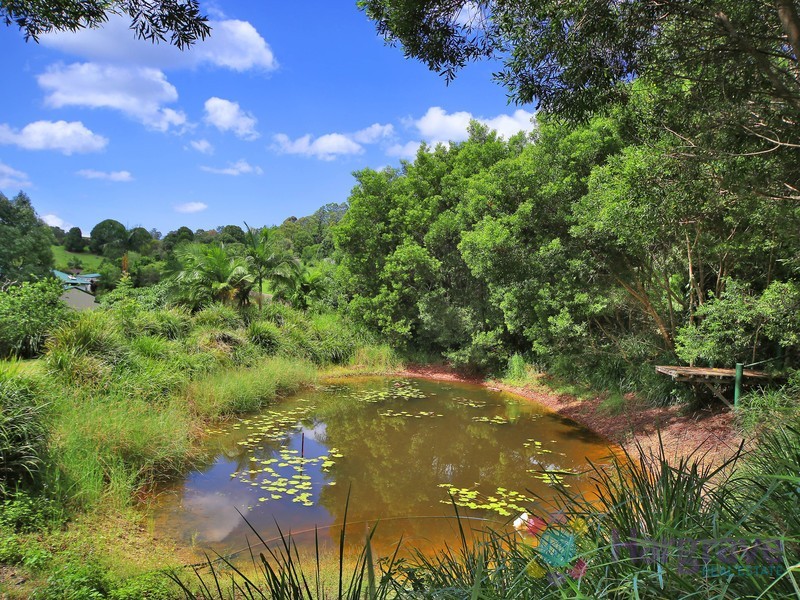 34 Sallwood Court, Pinbarren QLD 4568