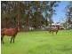 146 Tandur-Traveston Road, Traveston QLD 4570