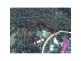 25 Bellbird Flat Road, Pomona QLD 4568 Floorplan