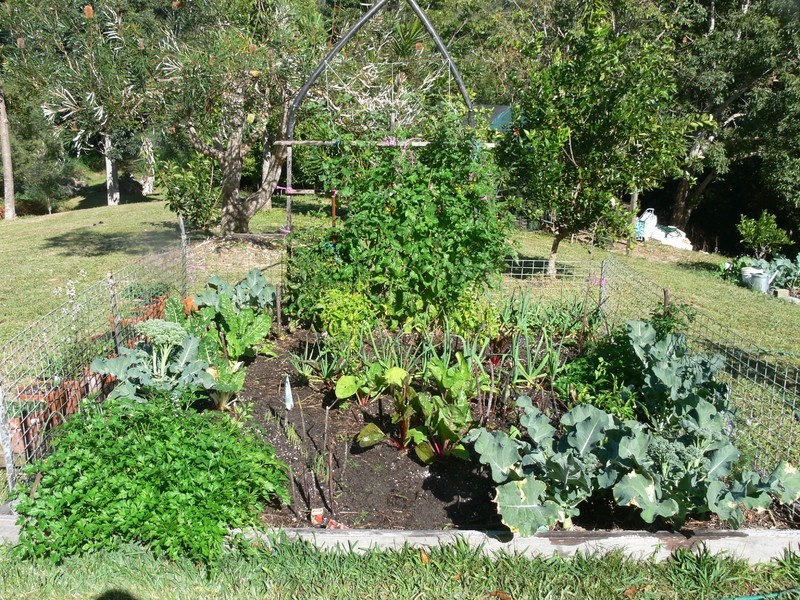 62 Williams Road, Kin Kin QLD 4571