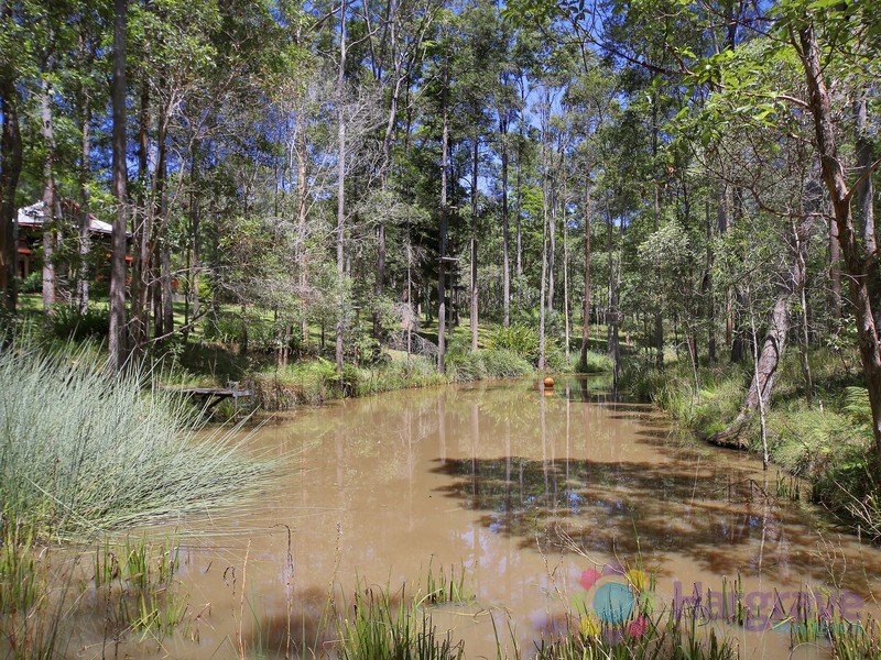 161 Pioneer Road, Pomona QLD 4568 Hargrave Real Estate Pty Ltd Sold