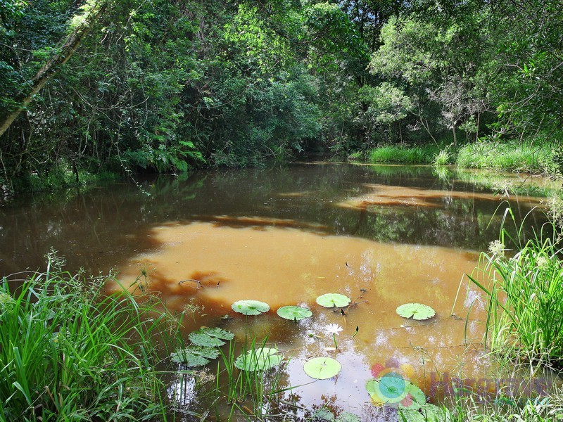 162 Moran Group Road, Kin Kin QLD 4571