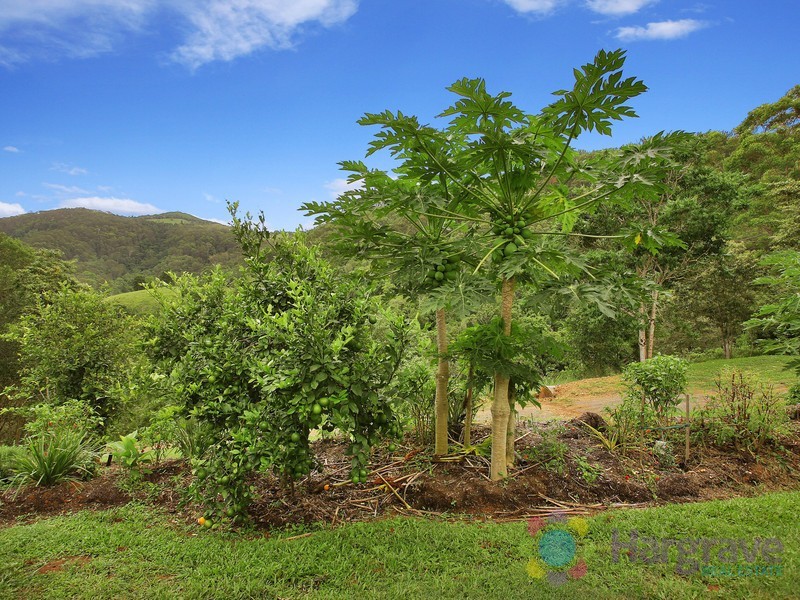 162 Moran Group Road, Kin Kin QLD 4571