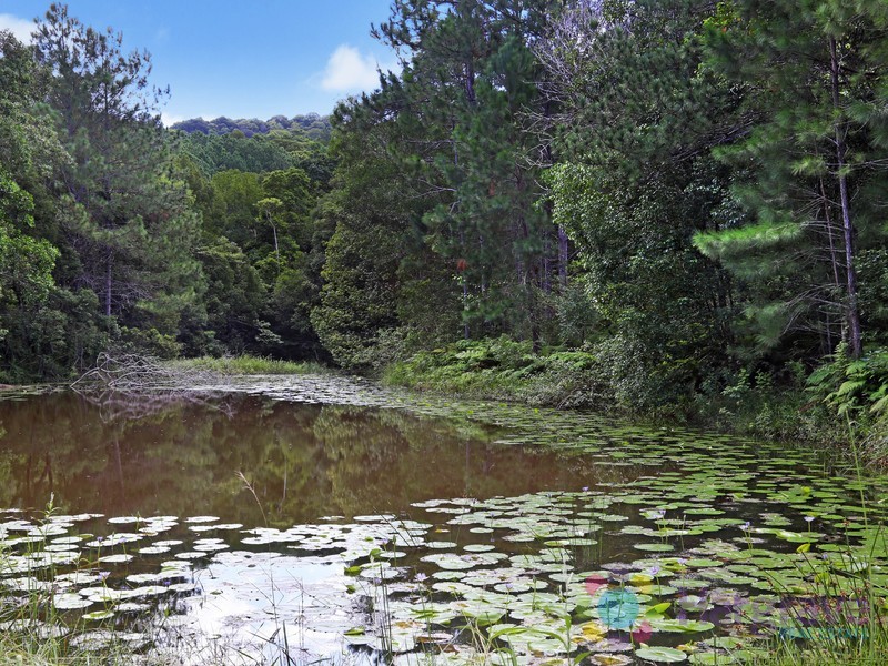 829 Pomona-Kin Kin Road, Kin Kin QLD 4571