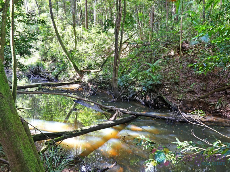 759 Ringtail Creek Road, Pomona QLD 4568